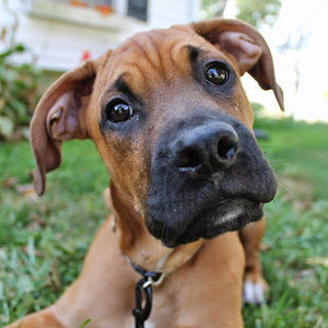 Meet your Posher, Wendy